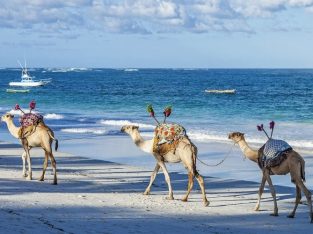 Visit Kenya