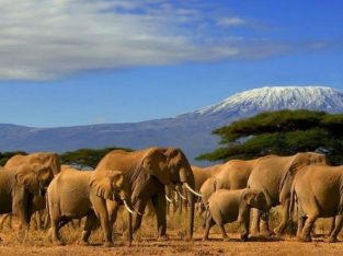 visit kenya