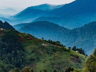 UGANDA TOURISM