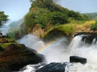 UGANDA SAFARI
