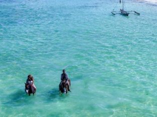 visit zanzibar