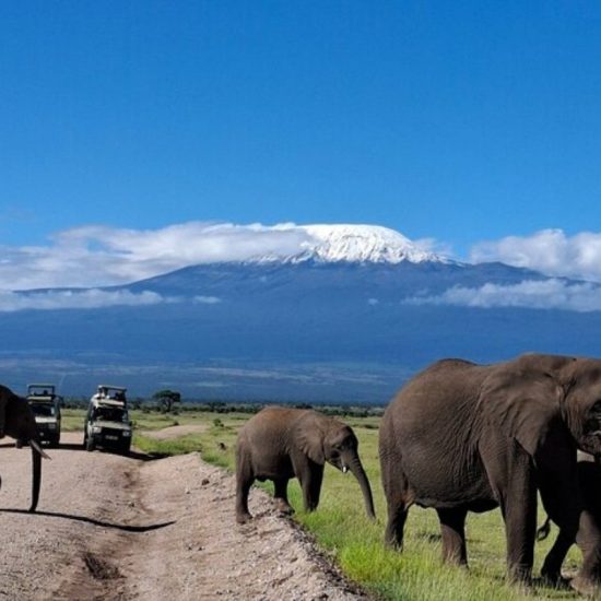 VISIT KENYA