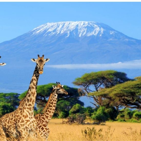 VISIT KENYA