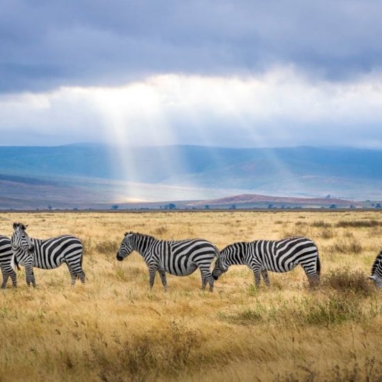 VISIT KENYA