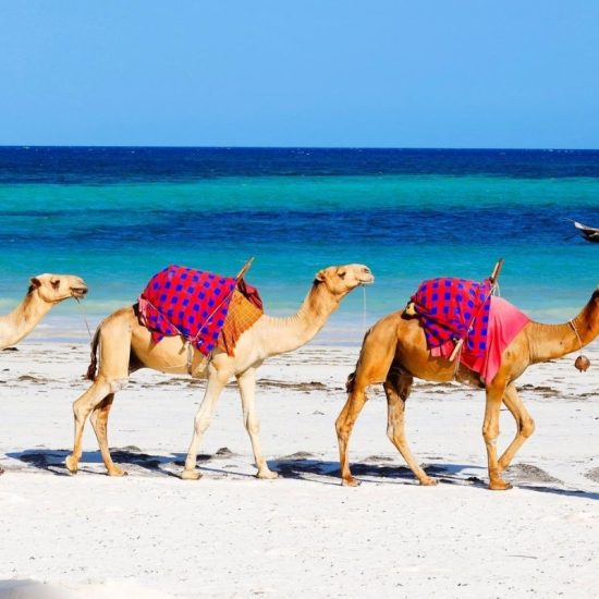 VISIT KENYA