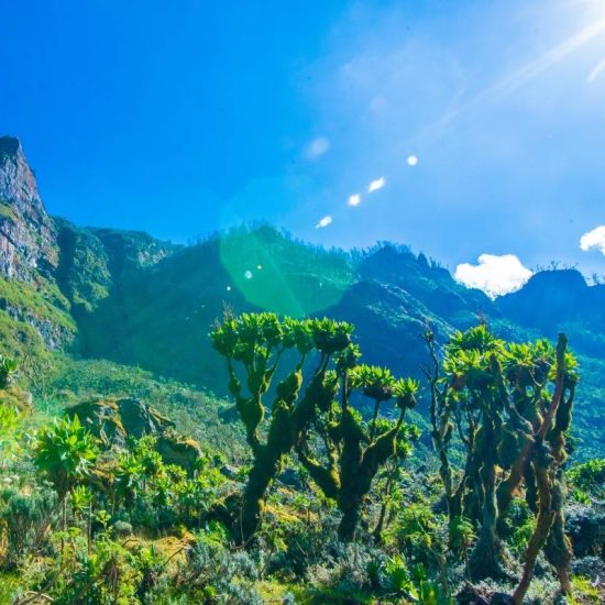 VISIT RWANDA