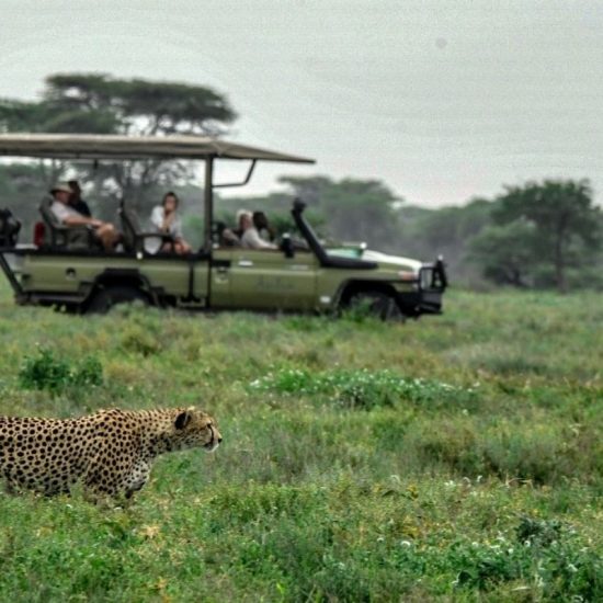 VISIT TANZANIA