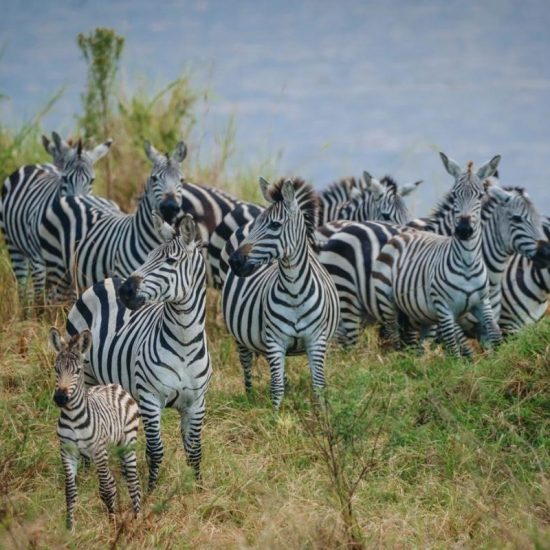 VISIT TANZANIA