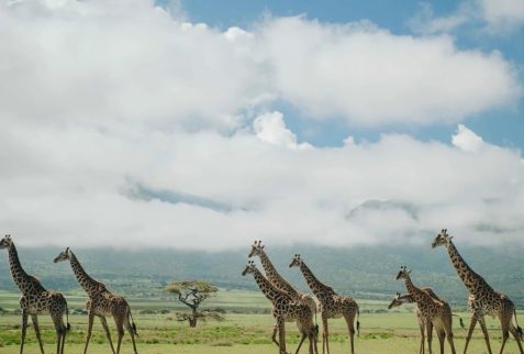 VISIT TANZANIA