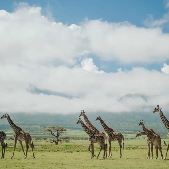 VISIT TANZANIA