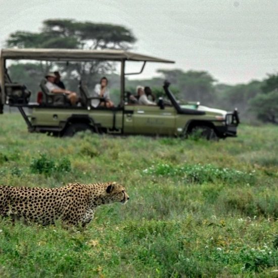 AFRICA TOUR