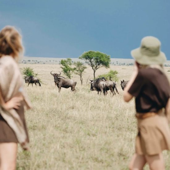 VISIT AFRICA