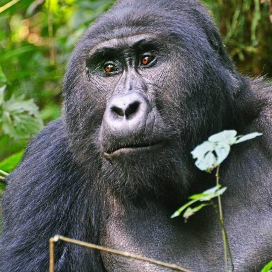 EXPLORE UGANDA